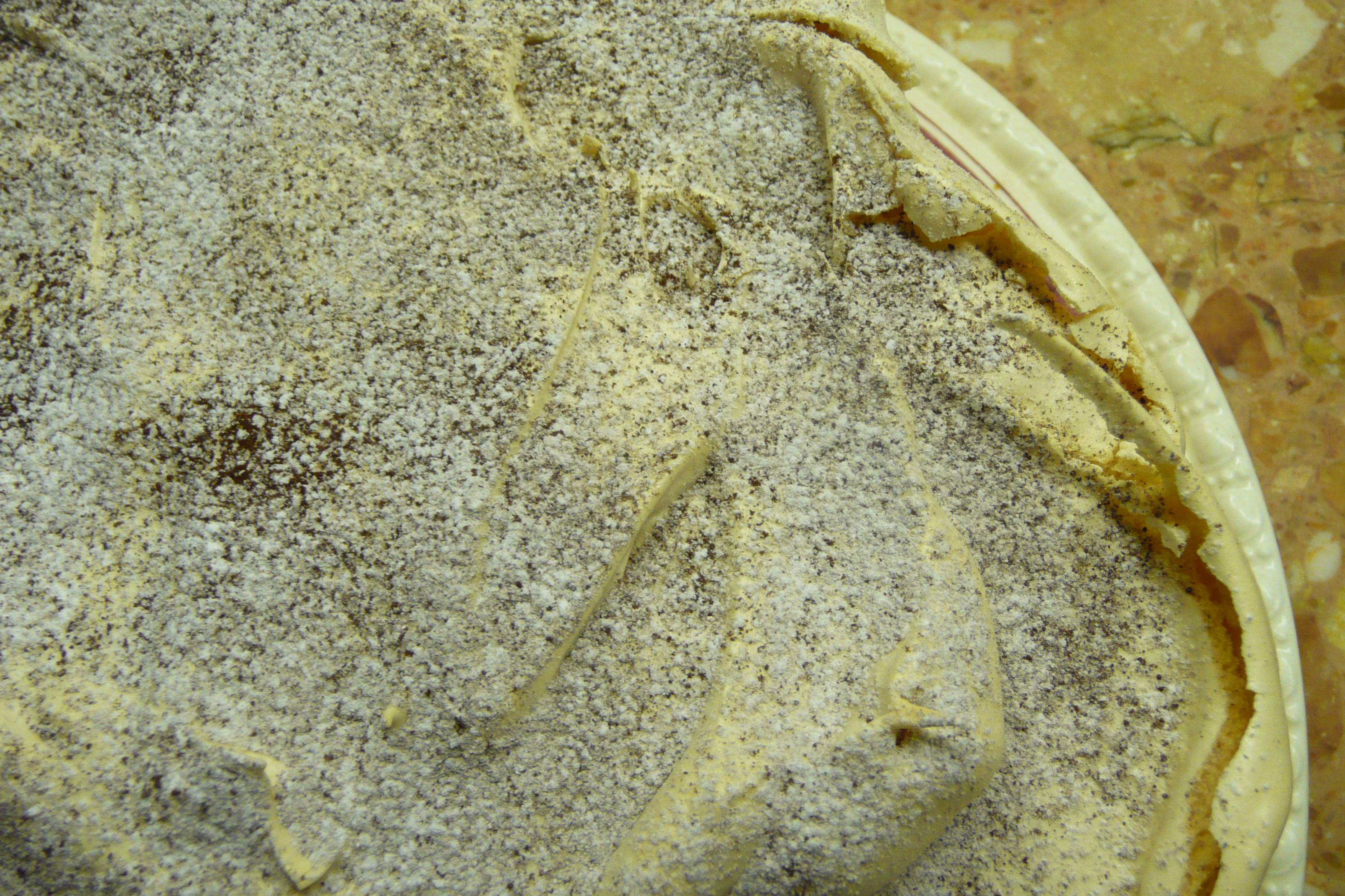 DACQUOISE – TORT BEZOWY